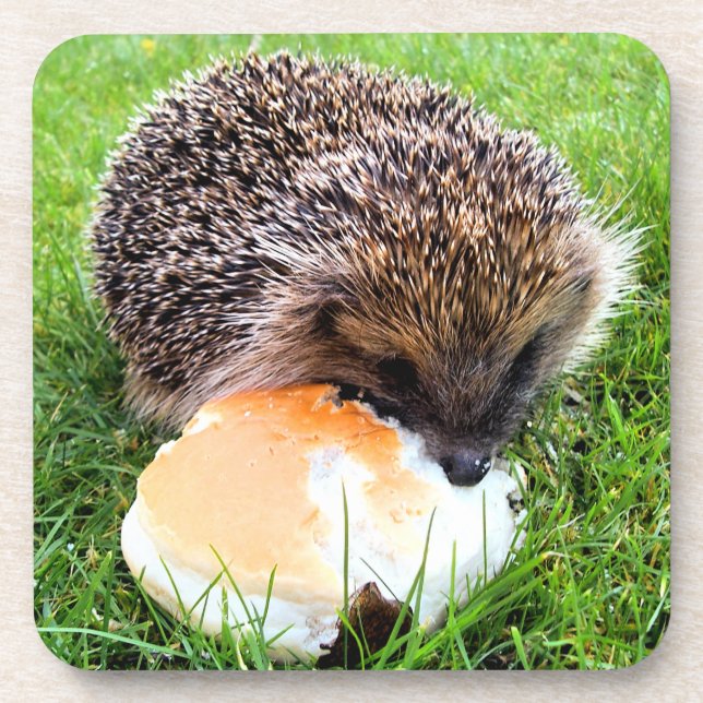 CUTE HEDGEHOG COASTER (Front)