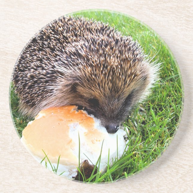 CUTE HEDGEHOG COASTER (Front)