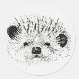 Cute Hedgehog drawing Classic Round Sticker