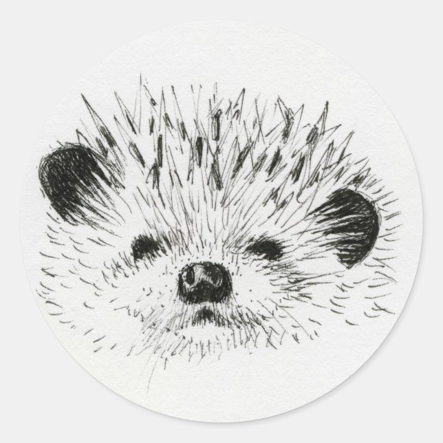 Cute Hedgehog drawing Classic Round Sticker (Front)