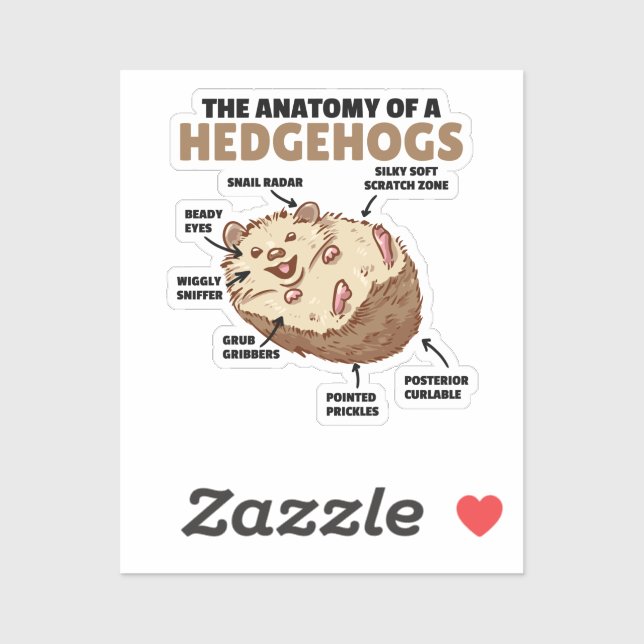 Cute Hedgehog Explanation Anatomy Of A Hedgehogs (Sheet)