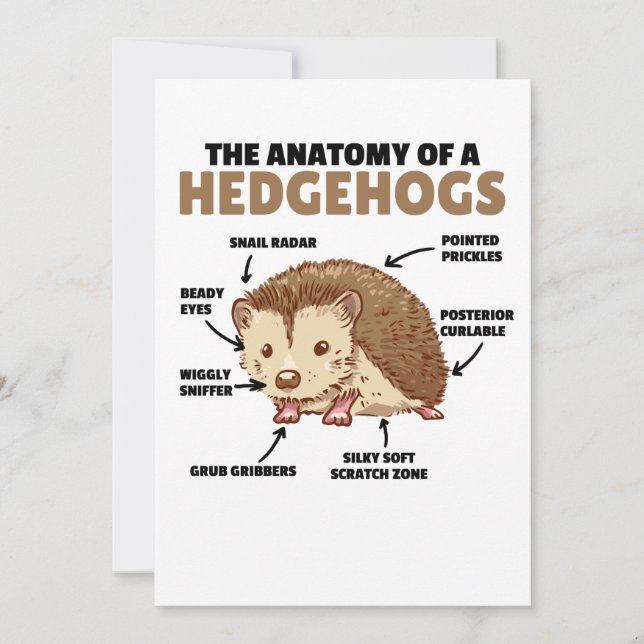 Cute Hedgehog Explanation Anatomy Of A Hedgehogs Invitation (Front)