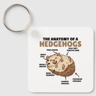 Cute Hedgehog Explanation Anatomy Of A Hedgehogs Key Ring