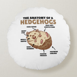Cute Hedgehog Explanation Anatomy Of A Hedgehogs Round Cushion