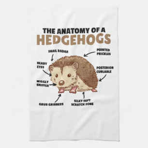 Cute Hedgehog Explanation Anatomy Of A Hedgehogs Tea Towel