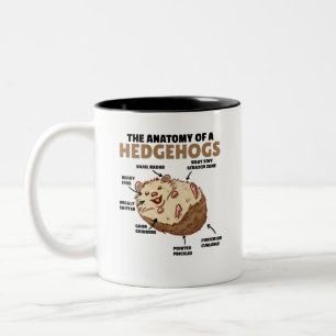 Cute Hedgehog Explanation Anatomy Of A Hedgehogs Two-Tone Coffee Mug