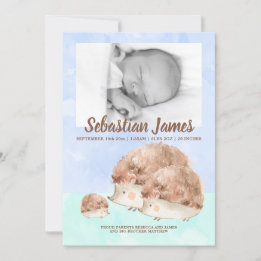 Cute Hedgehog Family New Baby Photo Personalised Announcement