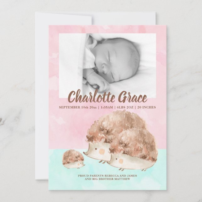 Cute Hedgehog Family New Baby Photo Personalised Announcement (Front)