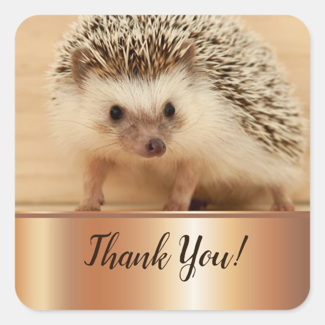 Cute Hedgehog Faux Gold Foil Thank You Square Sticker (Front)