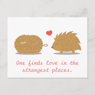 Cute Hedgehog finds its true love in a scrub brush Postcard