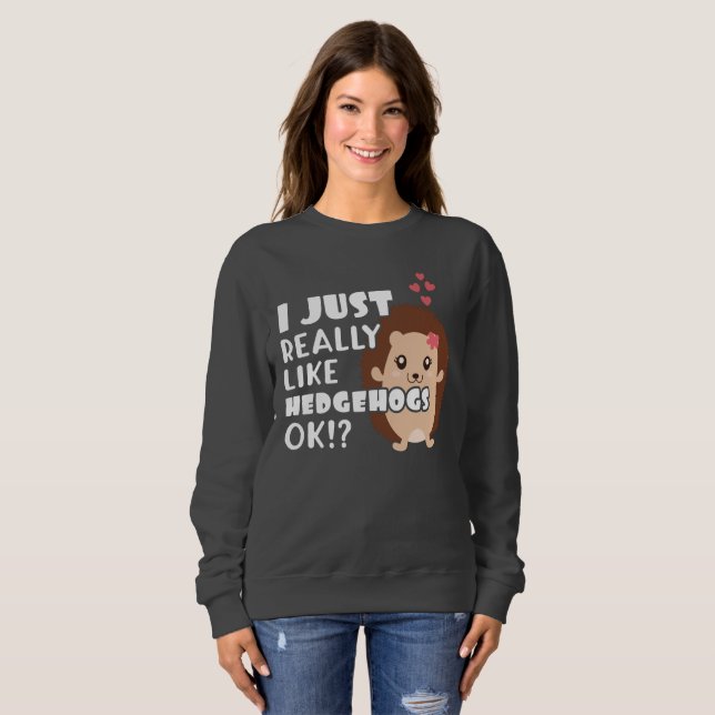 Cute Hedgehog Gift Gift Just Like Hedgehogs OK? Sweatshirt (Front Full)