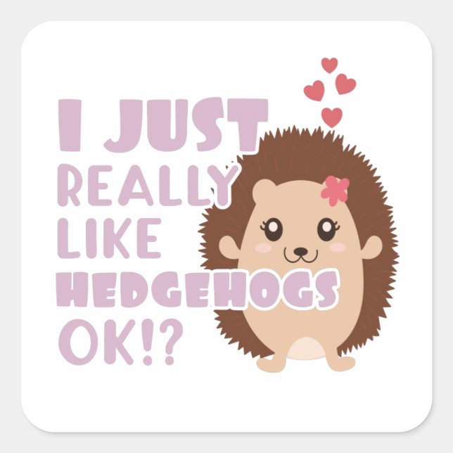 Cute Hedgehog I Just Really Like Hedgehogs OK? Square Sticker (Front)