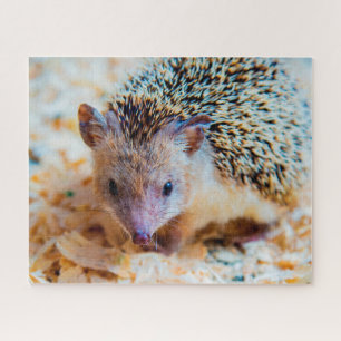Cute Hedgehog, Jigsaw Puzzle
