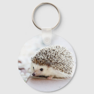 Cute Hedgehog Key Ring