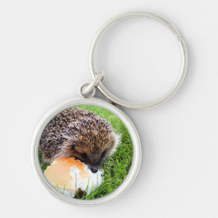 CUTE HEDGEHOG KEY RING