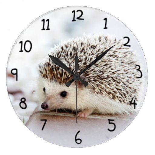 Image of Cute Hedgehog Large Clock