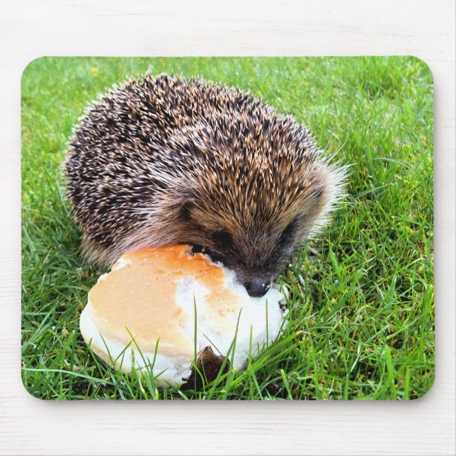 CUTE HEDGEHOG MOUSE MAT (Front)