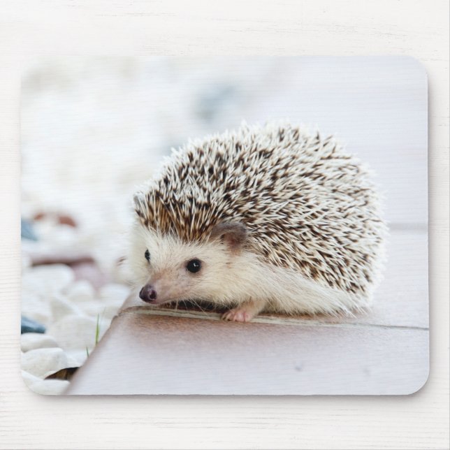 Cute Hedgehog Mouse Mat (Front)