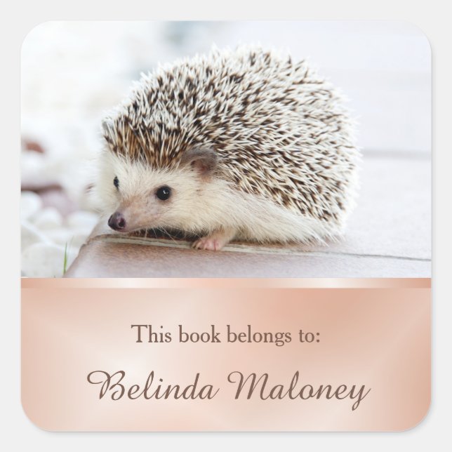 Cute Hedgehog Photo Rose Gold Book School Square Sticker (Front)