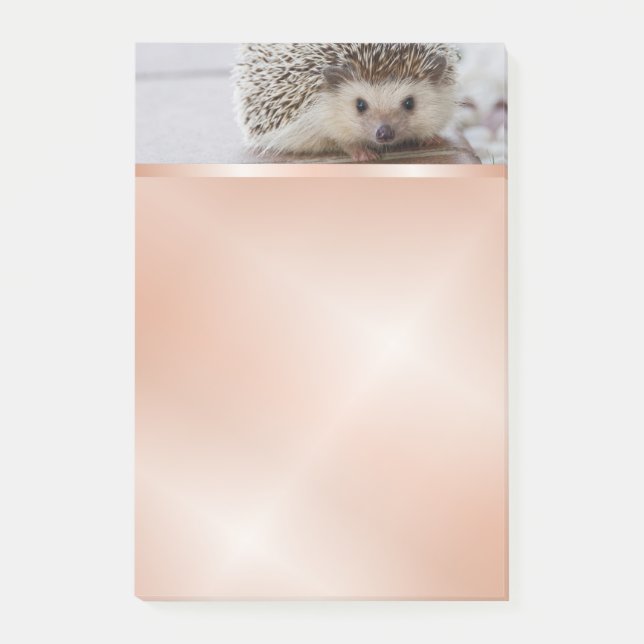 Cute Hedgehog Photo Rose Gold  Post-it Notes (Front)