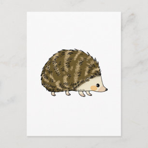 Cute hedgehog postcard