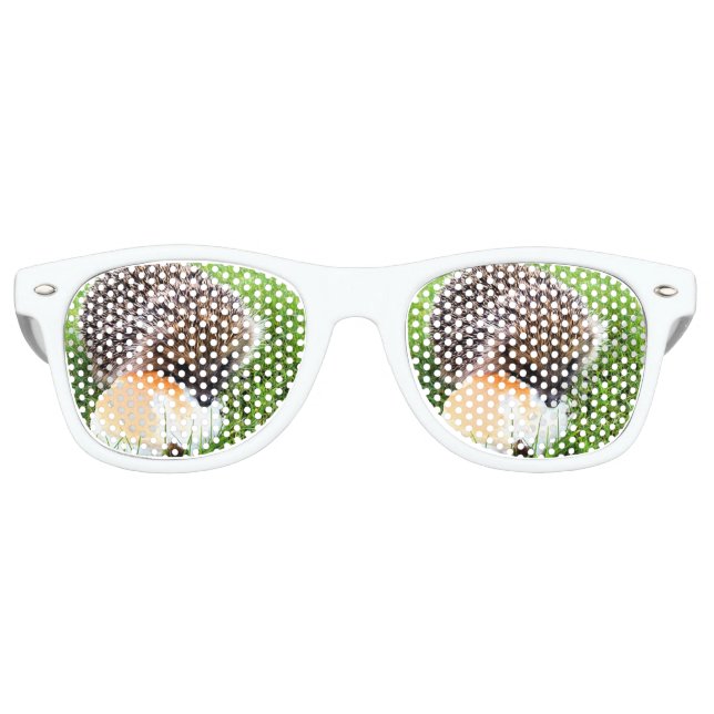 CUTE HEDGEHOG RETRO SUNGLASSES (Front)