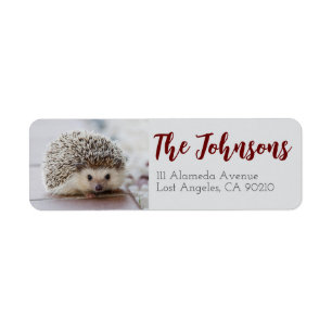 Cute Hedgehog Return Address Labels Animal