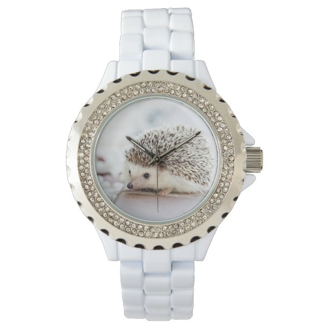 Cute Hedgehog Watch (Front)