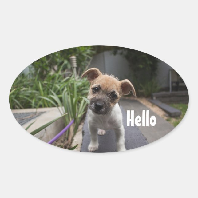 Cute Hello Puppy Oval Stickers (Front)