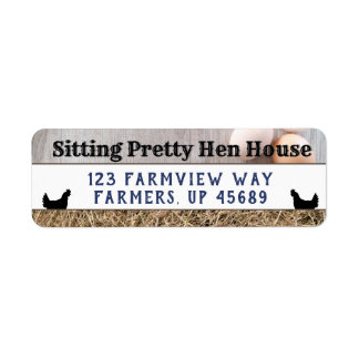 Cute Hen House Backyard Farm Chickens and Eggs