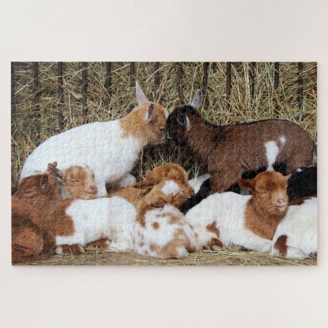 Cute Herd of Baby Goat Kids Jigsaw Puzzle (Horizontal)