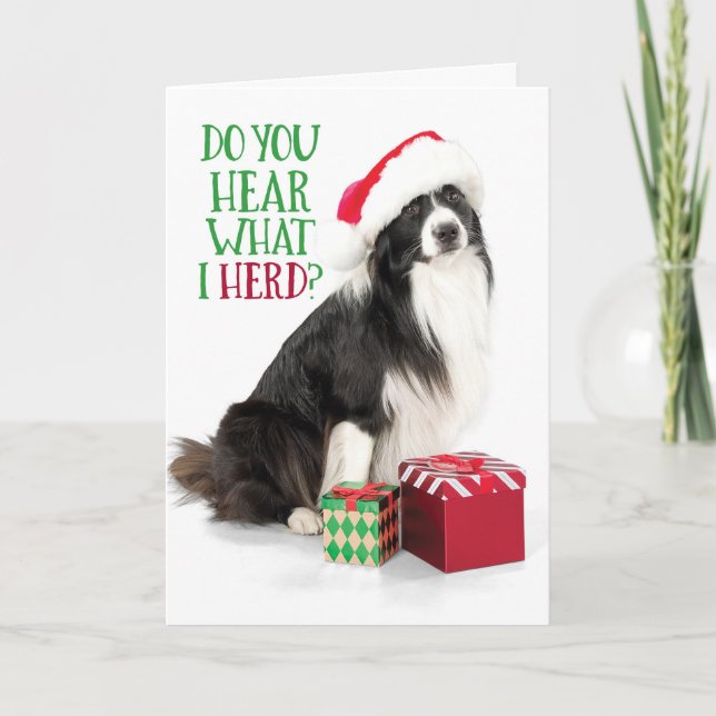Cute Herding Border Collie With Christmas Gifts Holiday Card (Front)