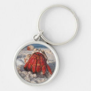 Cute Hermit Crab on White Sandy Beach Closeup Key Ring