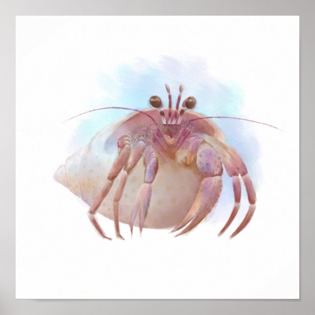 Cute hermit crab sketch poster (Front)