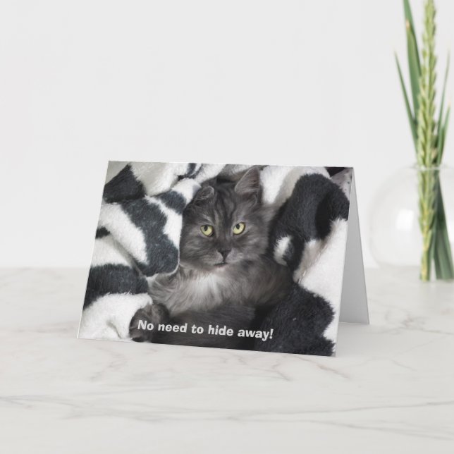 Cute Hidden Cat Birthday Card (Front)
