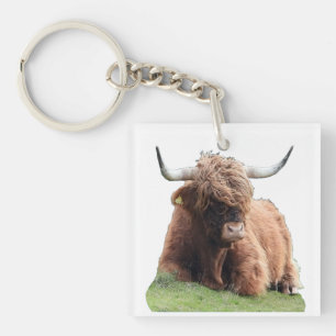 Cute Highland Moo Cow Shaggy Scottish Cattle Key Ring