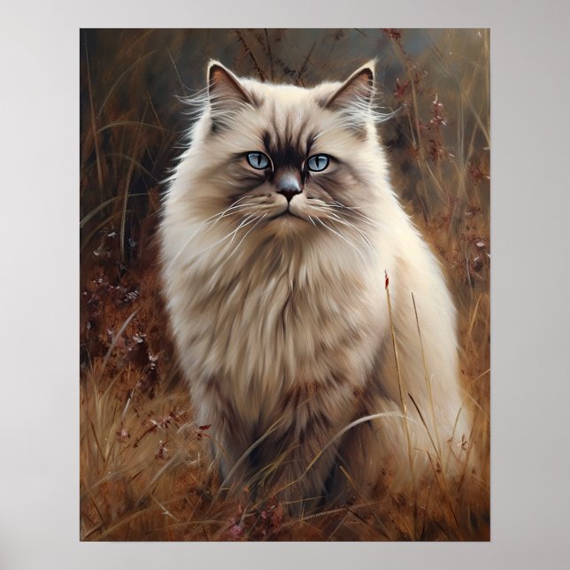 Cute Himalayan Cat Art Print Poster (Front)