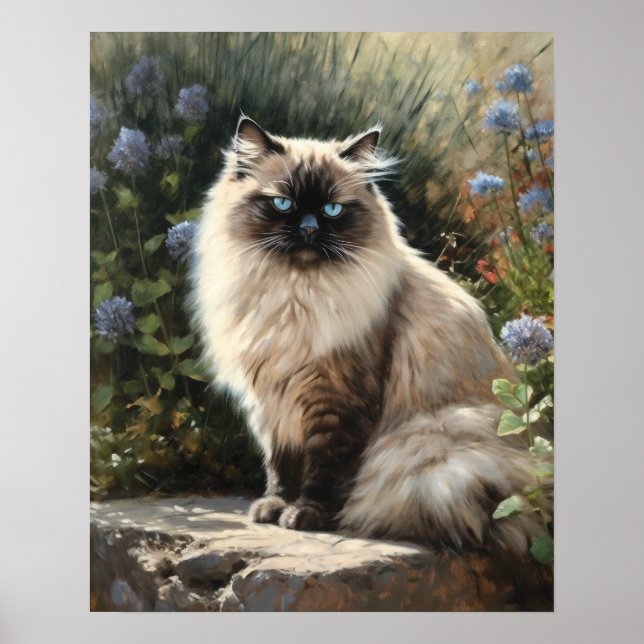 Cute Himalayan Cat Art Print Poster (Front)