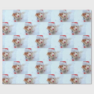 Cute holiday Dachshund dog Xmas festive hat snow Wrapping Paper
