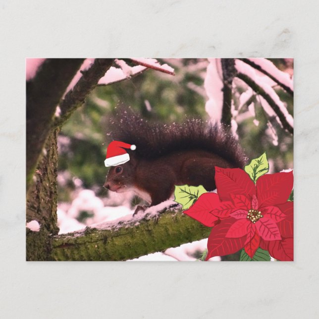 Cute Holiday Greeting Postcard (Front)