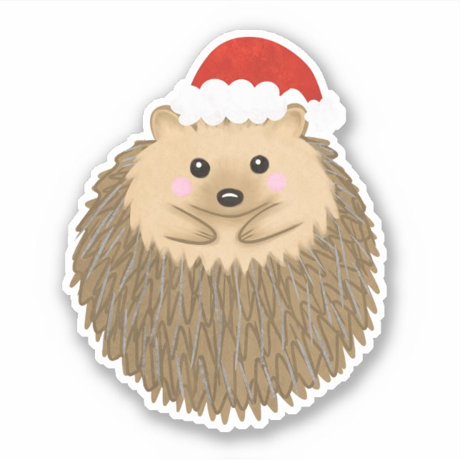 Cute Holiday Hedgehog (Front)