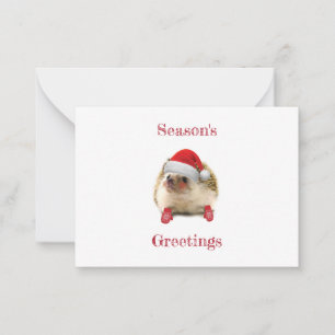 Cute Holiday Hedgehog Season's Greetings Card