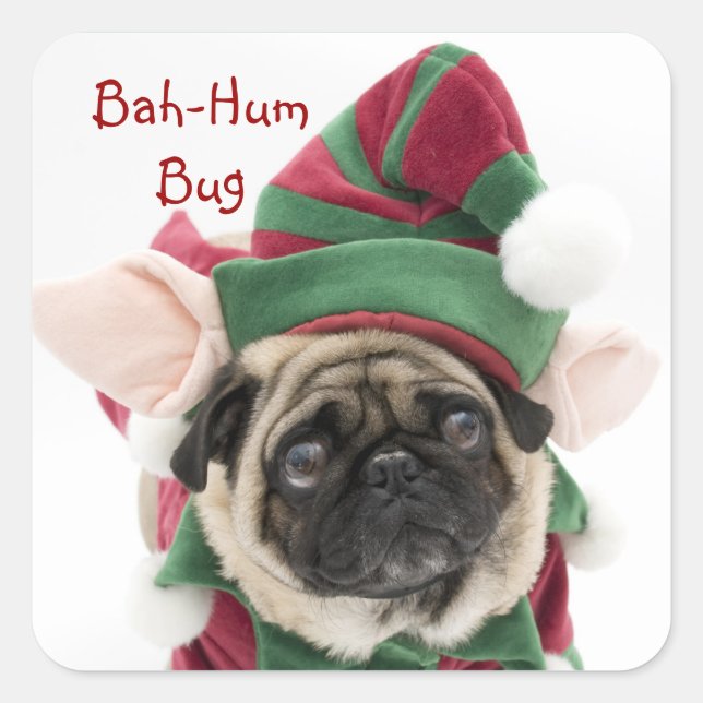 Cute Holiday Pug Stickers (Front)