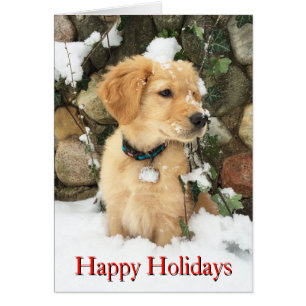Cute Holiday Puppy lab retriever