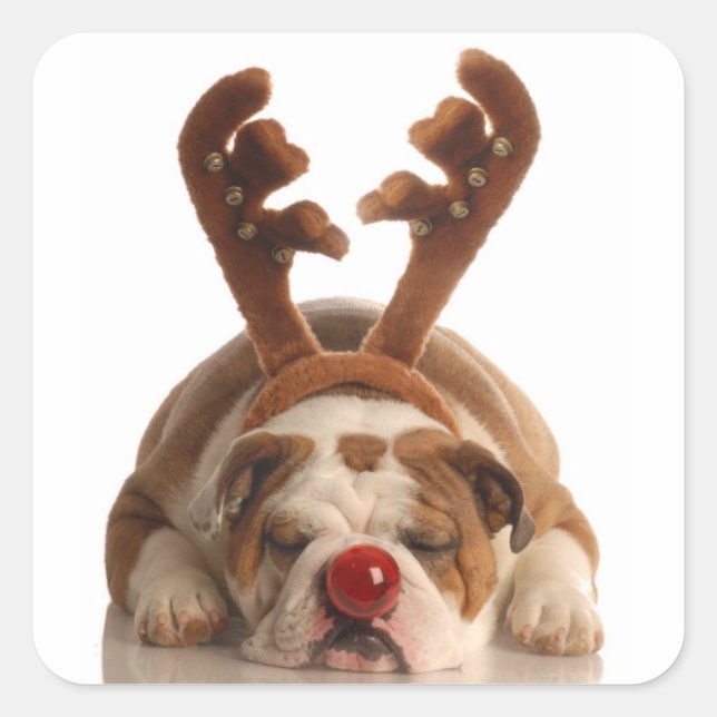 Cute Holiday Puppy Stickers (Front)