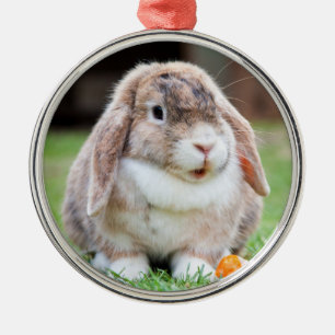 Cute Holland Lop Dwarf Bunny Rabbit Metal Tree Decoration