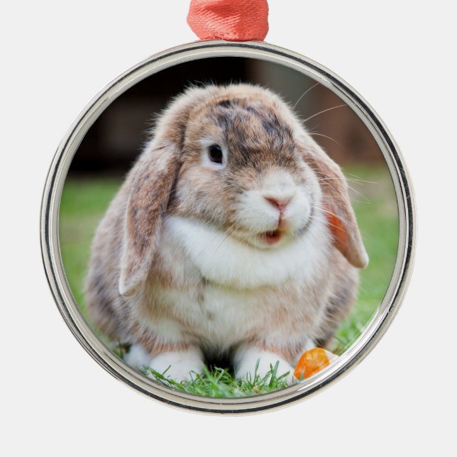 Cute Holland Lop Dwarf Bunny Rabbit Metal Tree Decoration (Front)