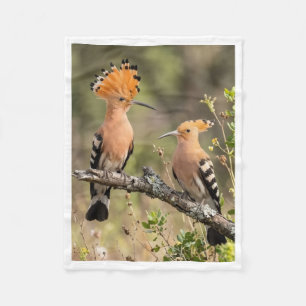 Cute Hoopoe Bird Pair Nature Fleece Baby Blanket