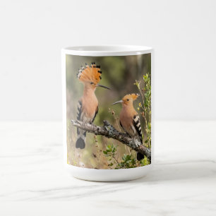 Cute Hoopoe Bird Pair Nature Women's T-Shirt Coffee Mug