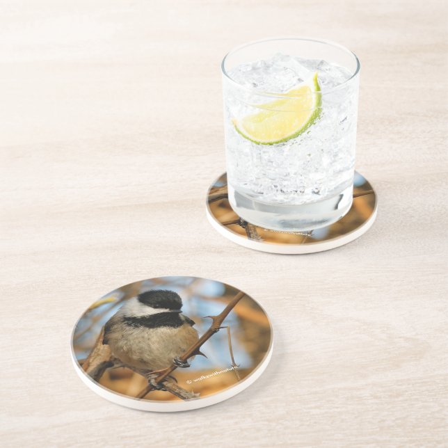 Cute Hopeful Black-Capped Chickadee Songbird Coaster (Side)